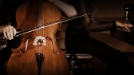 Shows classical and pop music performances.