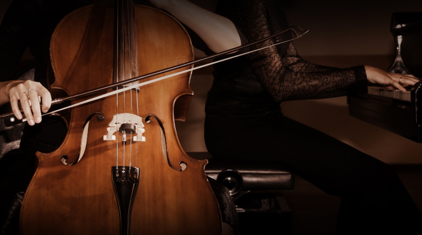 Shows classical and pop music performances.