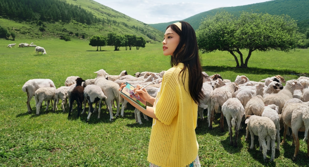 HUAWEI MatePad 12 X A girl sketches on the grassland, with a flock of sheep in the background.