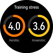 HUAWEI WATCH GT Runner Training Suggestions