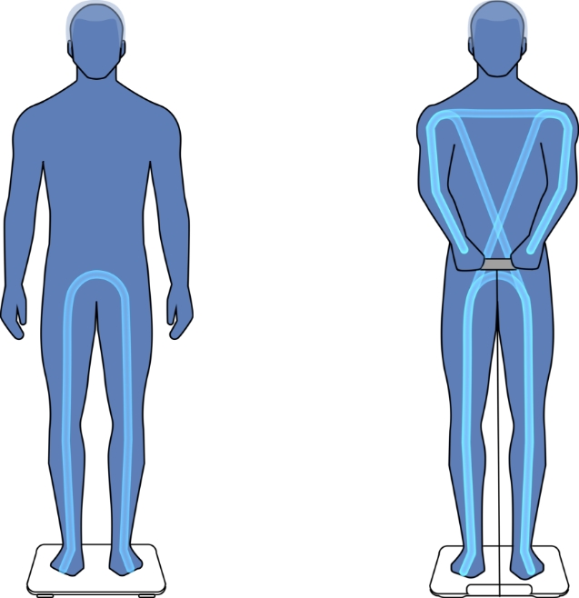 HUAWEI Scale 3 Pro is featured with eight electrodes