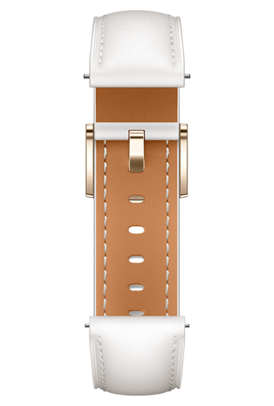 HUAWEI WATCH GT 4 strap color
