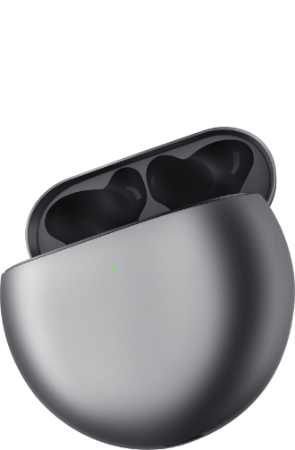 Huawei Freebuds 4 ID Color Silver