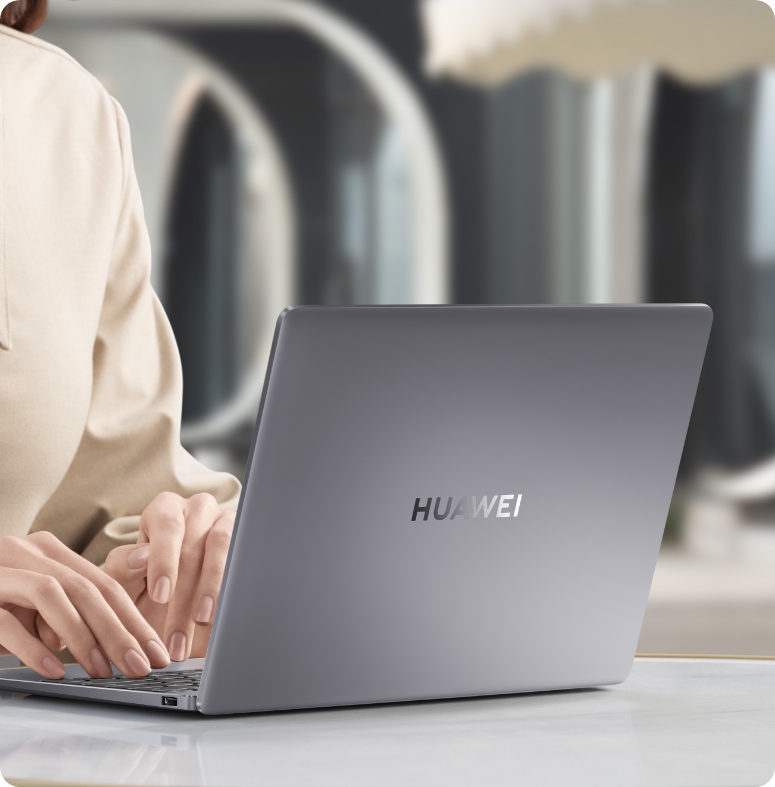 HUAWEI MateBook 13 2021 Portable