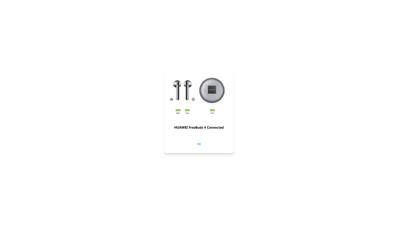 HUAWEI MateBook 14s earphones