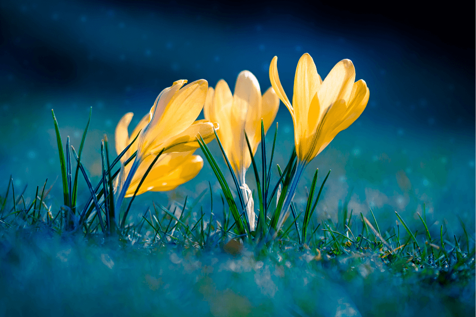 huawei matebook x pro 2021 resolution