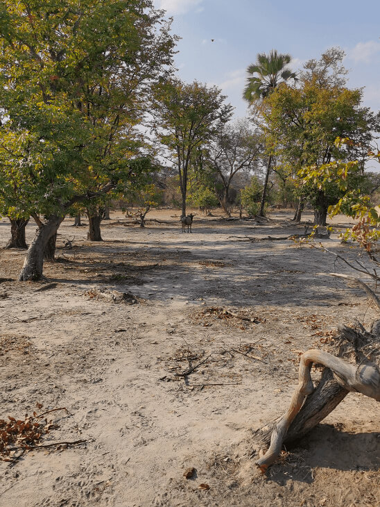 HUAWEI Mate 30 Pro 5G telephoto camera