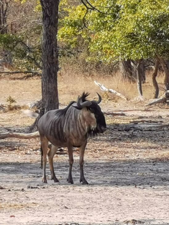 HUAWEI Mate 30 Pro 5G telephoto camera