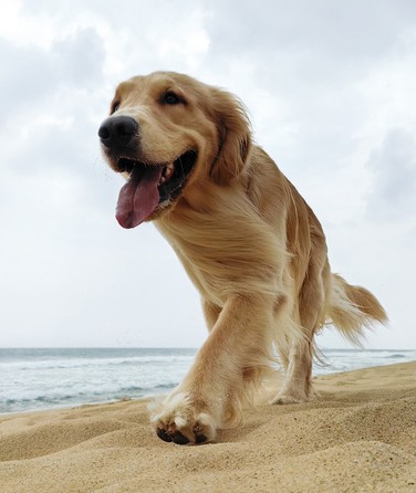 HUAWEI Mate X3 Low-Angle Shooting in Flex-Stop Mode