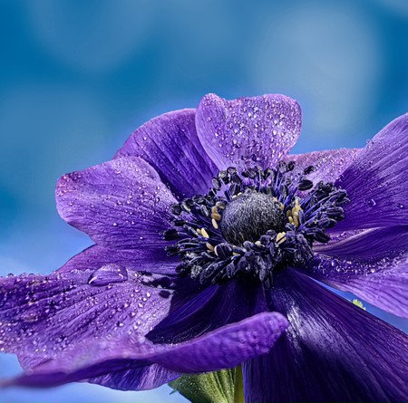 HUAWEI Mate X3 Mirco Camera