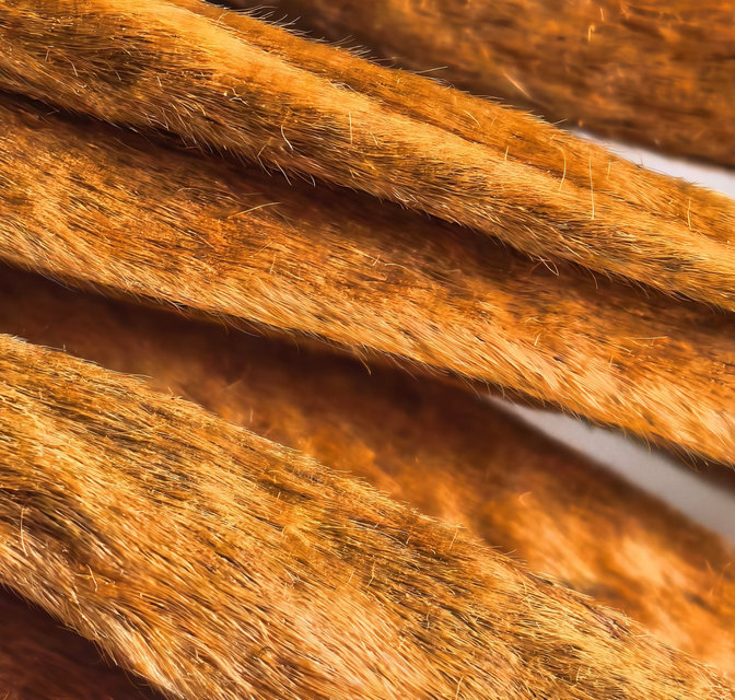 HUAWEI Mate X7 Telephoto Macro Camera photo graphy sample 4