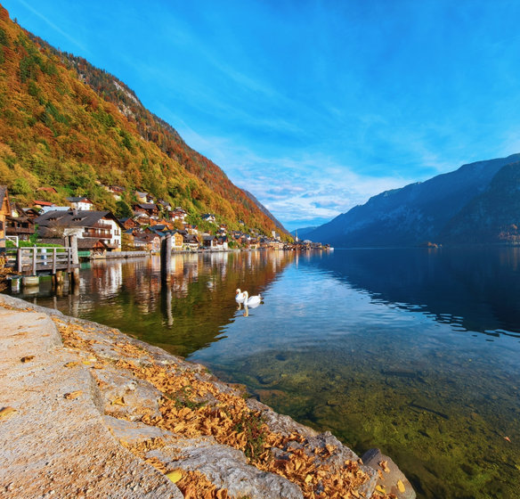 HUAWEI Mate X7 Telephoto Macro Camera photo graphy sample 1