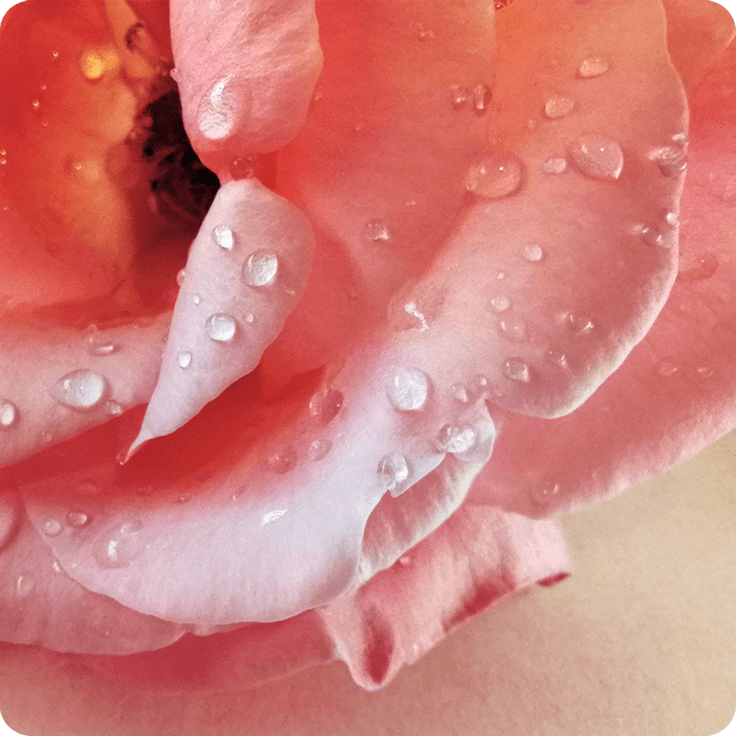 HUAWEI P20 lite 2019 Macro lens