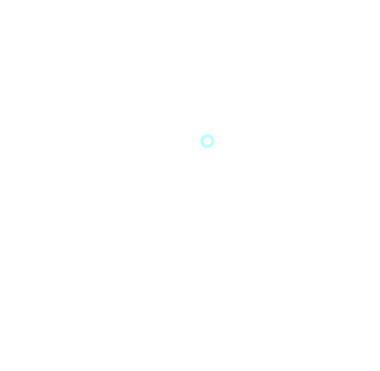 Huawei P30 lite HiVision