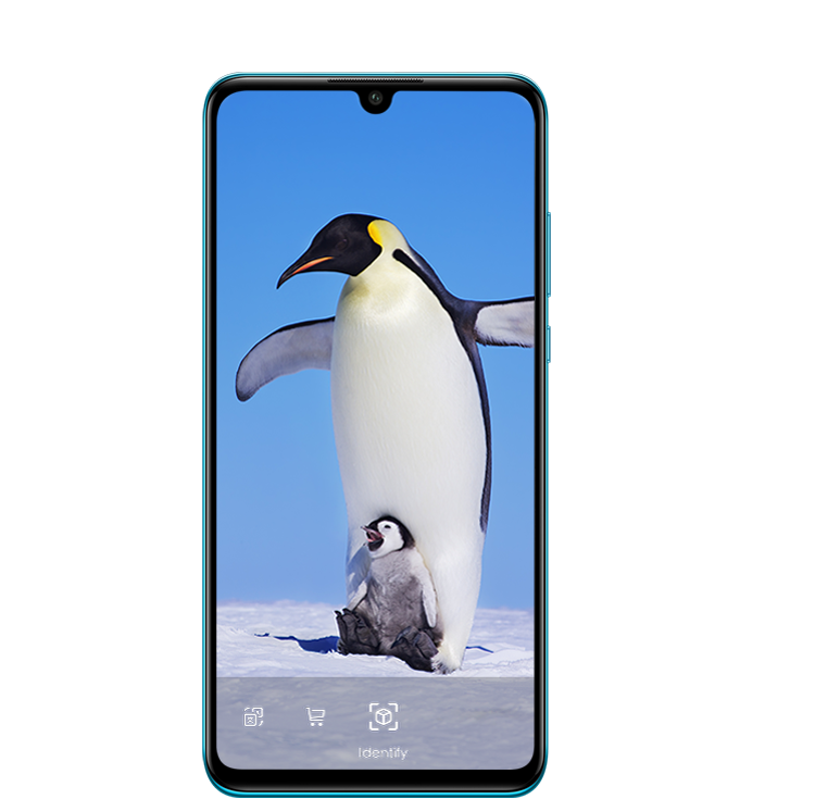 Huawei P30 lite HiVision