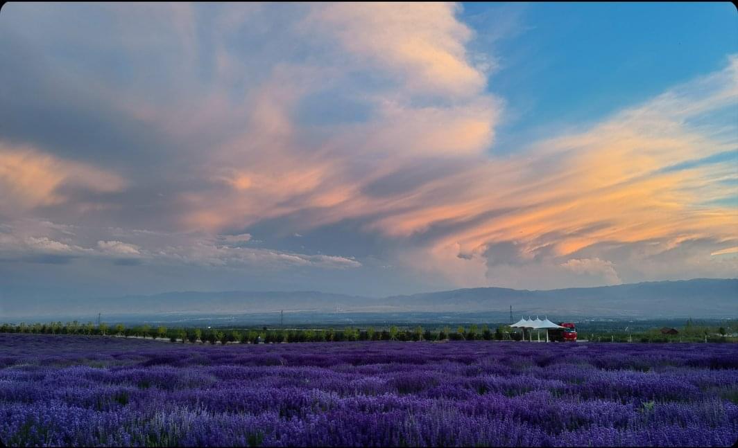 HUAWEI P50 Pro Master Style during Low Light Conditions