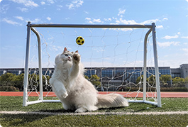 HUAWEI Pura 70 Pro ultra speed snapshot