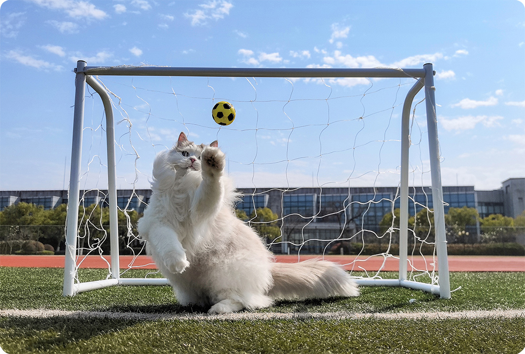 HUAWEI Pura 70 Pro ultra speed snapshot