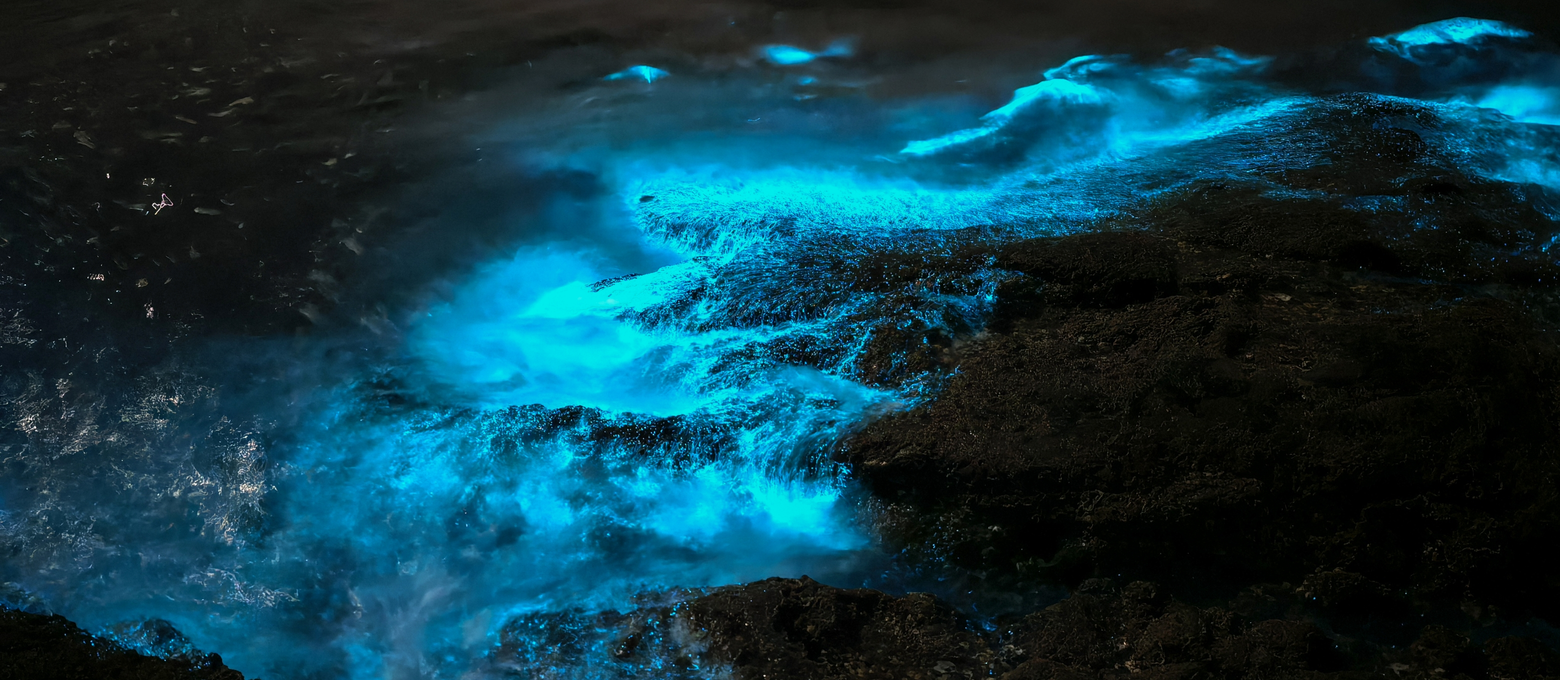 Night photos taken by HUAWEI Pura 80 Ultra, display the rich colors and details of the photos