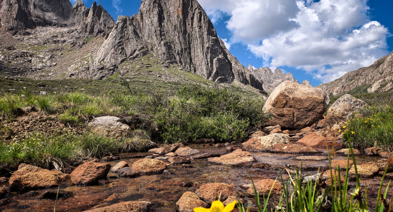 Photos taken by HUAWEI Pura 80 cameras, display the phone's multi-range zooming function