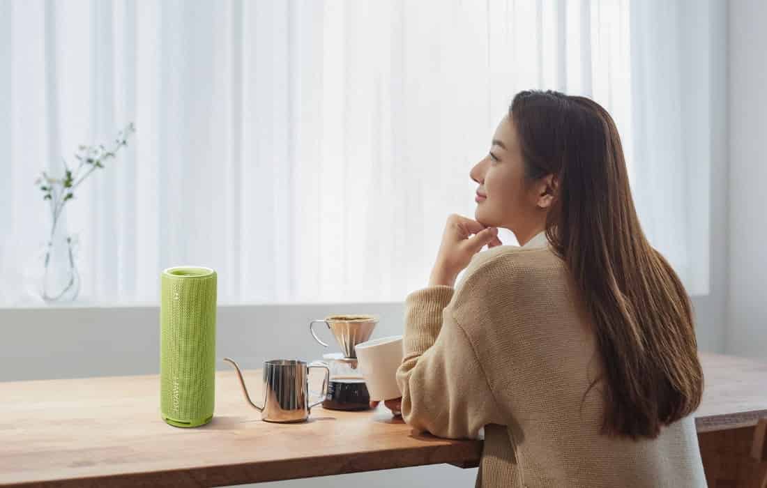 HUAWEI Sound Joy 2 Bluetooth Speaker Cards Power