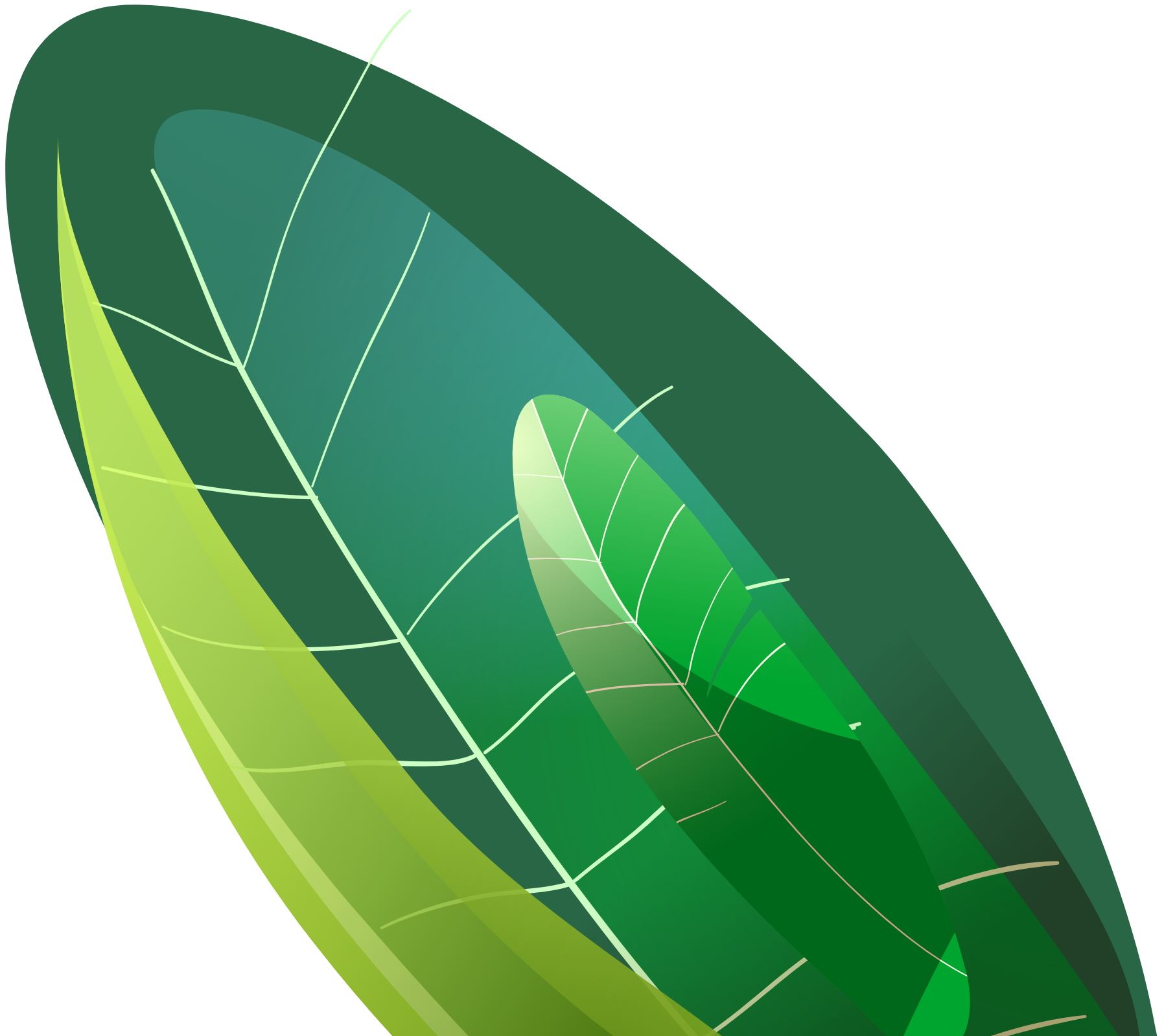 HUAWEI MatePad SE 10.4” Kids Edition Display