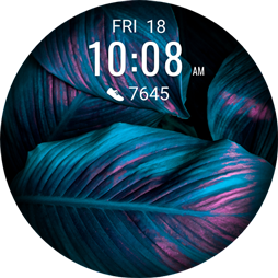 HUAWEI WATCH GT 2 Pro huawei share