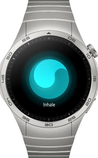 HUAWEI WATCH GT 4 stress management