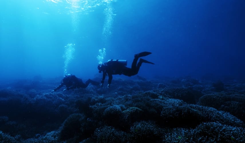 Post-dive sharing through the HUAWEI WATCH Ultimate 2, with options like viewing historical messages and sharing diving data