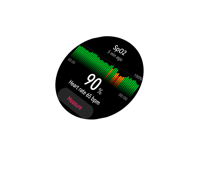HUAWEI WATCH Ultimate health indicator monitoring