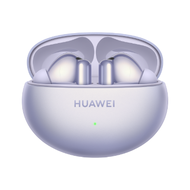 True Wireless Earbuds