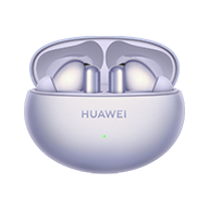 True Wireless Earbuds