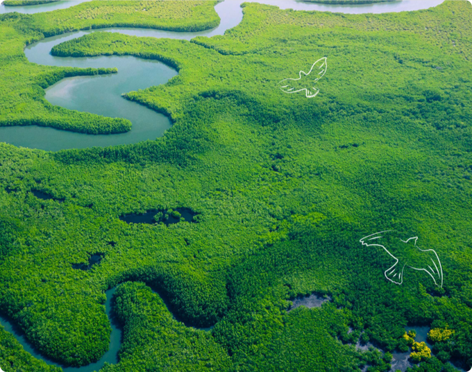 HUAWEI Sustainability Page 1 Environment