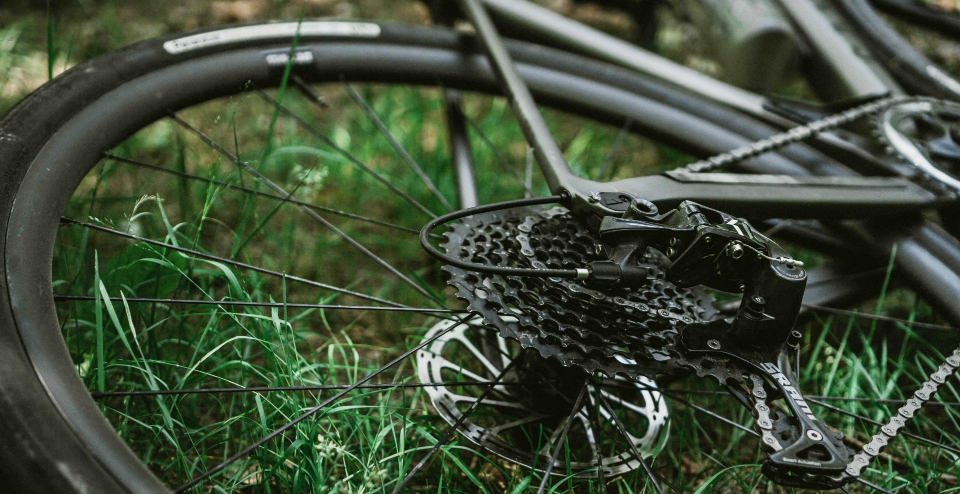 Wilderness Riding:Pro Tips for Balancing Safety and Adventure