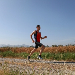 Site image of the bookmark