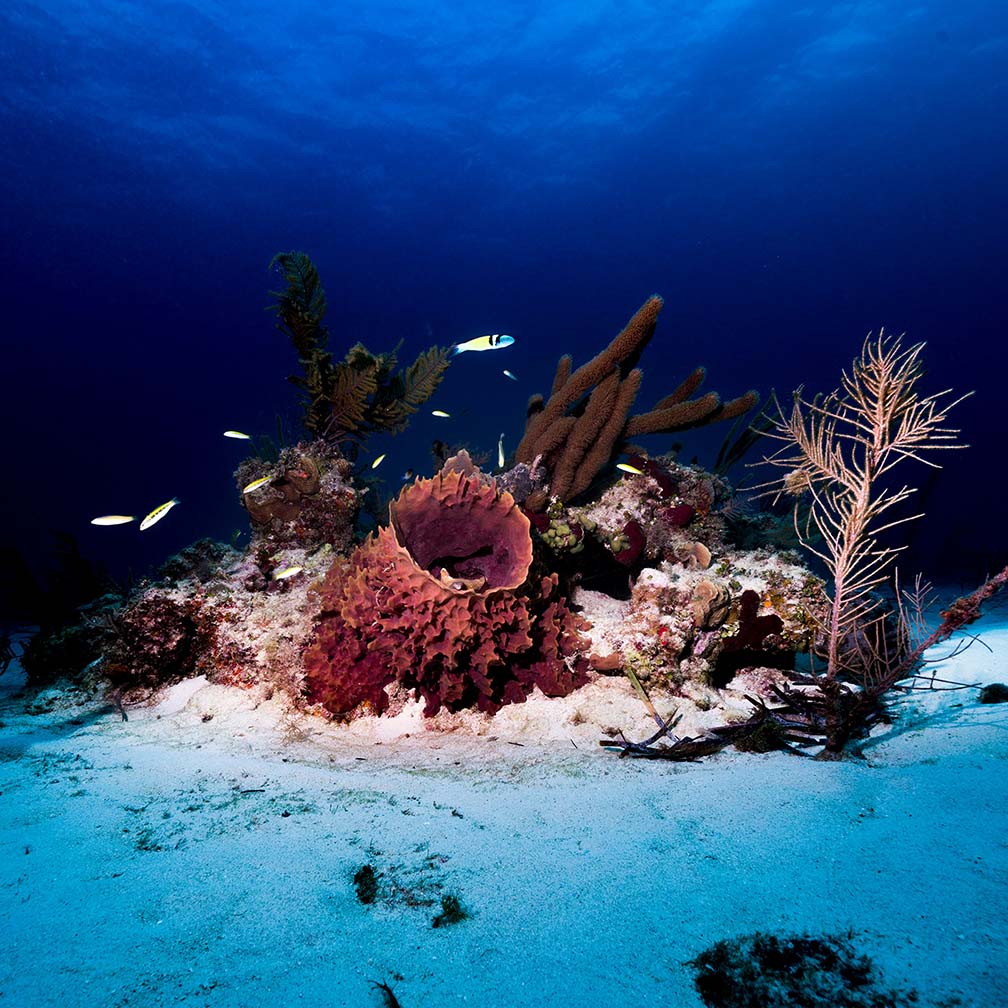 HUAWEI WATCH GT 6 Pro