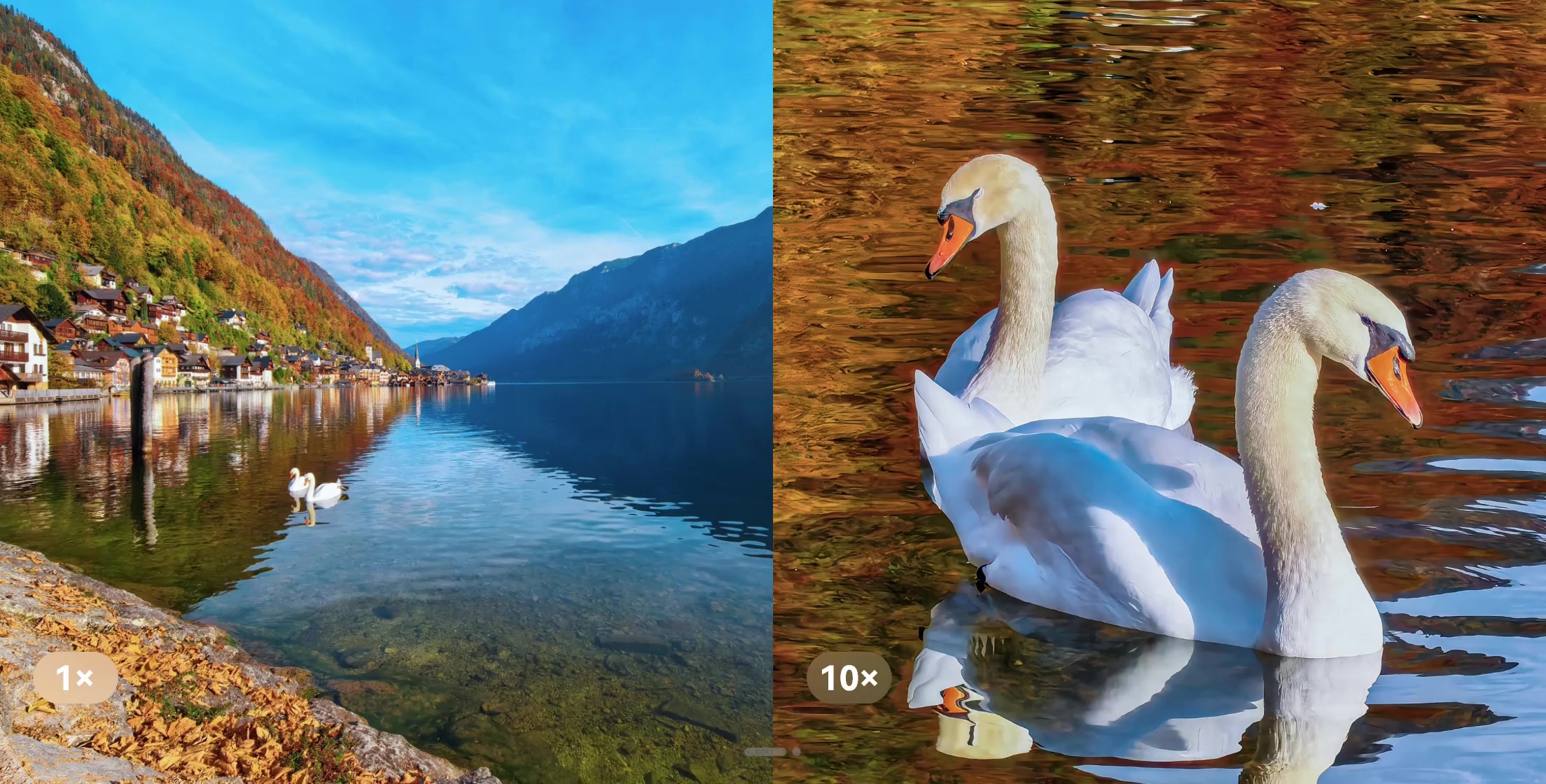 Clear Shots, Near or Far