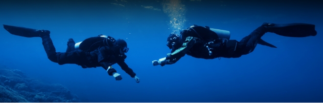 Peace of Mind When You Take the Plunge
