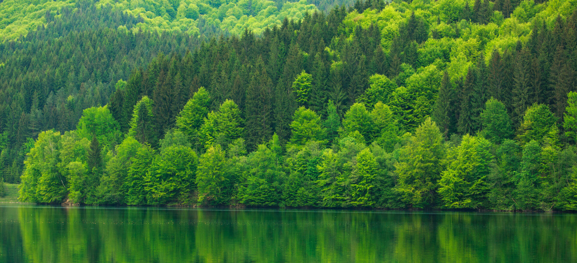 HUAWEI Sustainability Page KV 1