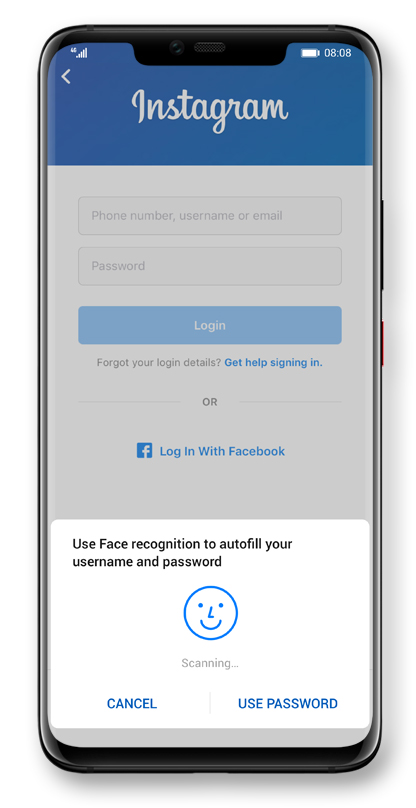 Password vault