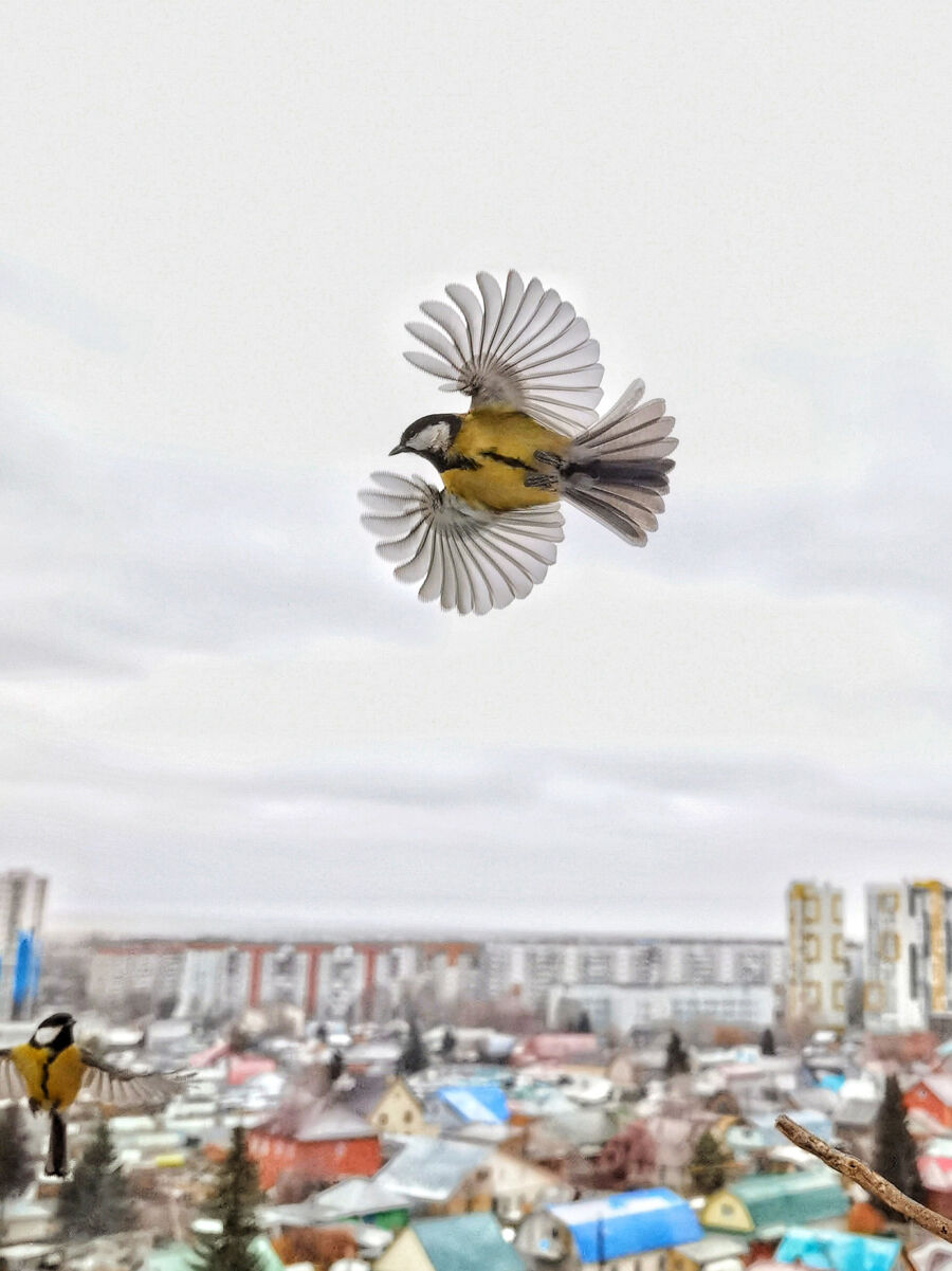In Flight