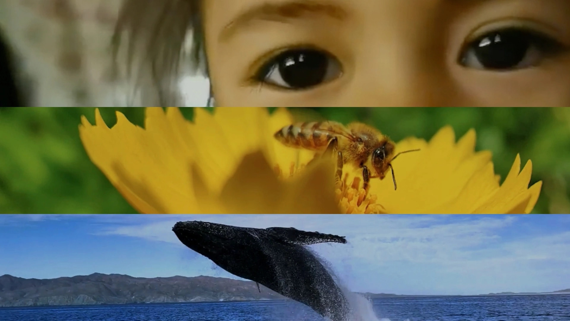 2023 Huawei Imaging Competition