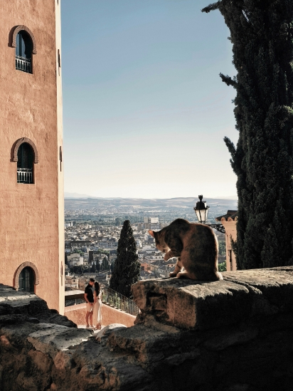 Romance of Granada's Sunset