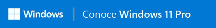 Windows 11