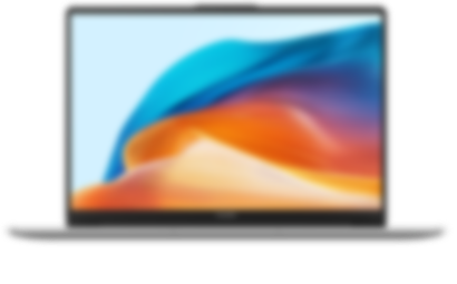 HUAWEI MateBook D 14 2023 Screen