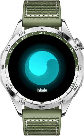 HUAWEI WATCH GT 4 HUAWEI Levant