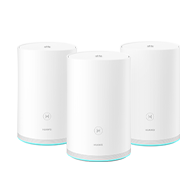 Mesh System