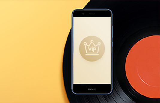 VIP Prestige Service