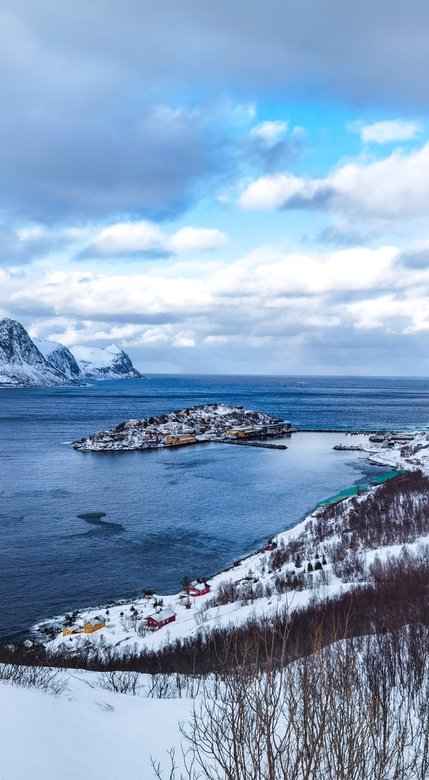 huawei p40 pro telephoto zoom samples 1x