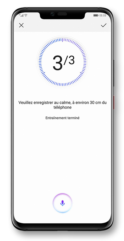 HiVoice
